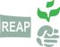 REAP: Rice Exporters Association of Pakistan